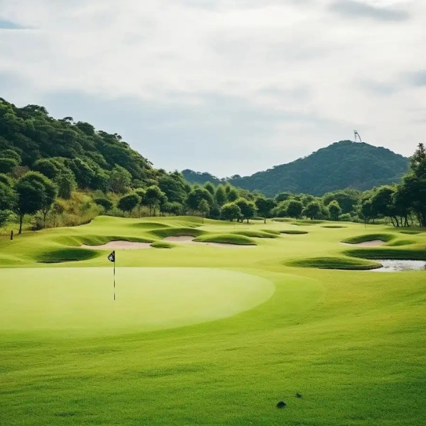  Why We Invest in Jumeirah Golf Estates